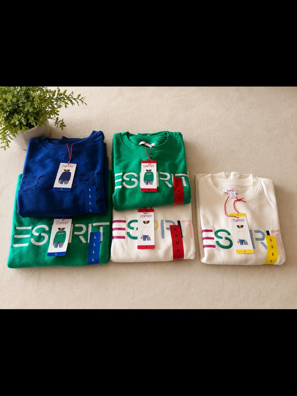 Esprit Crewneck Sweatshirt in Green (M/L), Blue (L), Cream (S/M)